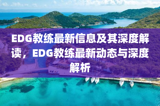 山東水清源環(huán)?？萍加邢薰綞DG教練最新信息及其深度解讀，EDG教練最新動(dòng)態(tài)與深度解析