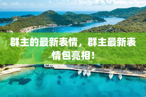 群主的最新表情，群主最新表情包亮相！山東水清源環(huán)保科技有限公司