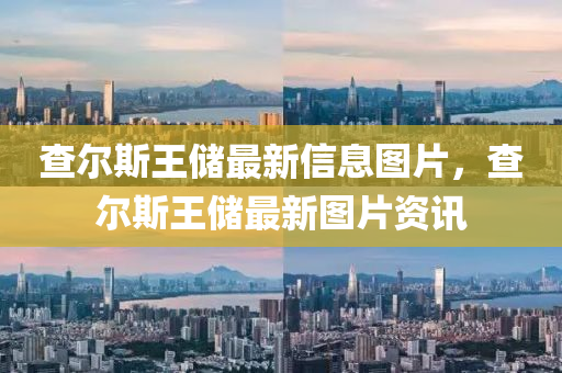 查爾斯王儲最新信息圖片，查爾斯王儲最新圖片資訊山東水清源環(huán)保科技有限公司