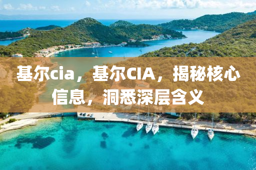 基爾cia，基爾CIA，揭秘核心信息山東水清源環(huán)?？萍加邢薰?，洞悉深層含義