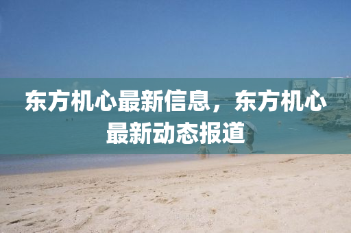 東方機(jī)心最新信息，東方機(jī)心最新動(dòng)態(tài)報(bào)道山東水清源環(huán)保科技有限公司