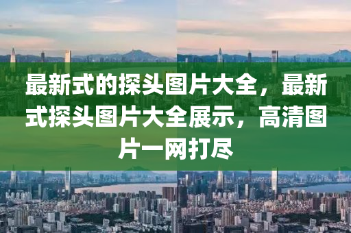 最新式的探頭圖片大全，最新式探頭圖片大全展示，山東水清源環(huán)保科技有限公司高清圖片一網(wǎng)打盡