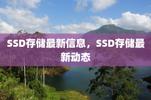 SSD存儲(chǔ)最新信息，SSD存儲(chǔ)最新動(dòng)態(tài)山東水清源環(huán)?？萍加邢薰? class=