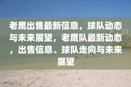 老鷹出售最新信息，球隊動態(tài)與未來展望，老鷹隊最新動態(tài)，出售信息、球隊走向與未來展望山東水清源環(huán)?？萍加邢薰? class=