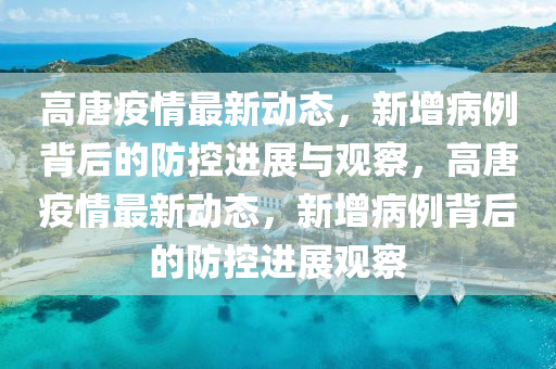 高唐疫情最新動(dòng)態(tài)，新增病例背后的防控進(jìn)展與觀察，高唐疫情最新動(dòng)態(tài)，新增病例背山東水清源環(huán)?？萍加邢薰竞蟮姆揽剡M(jìn)展觀察