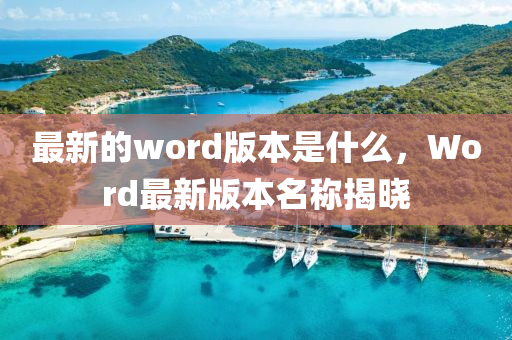 最新的word版本是什么，Word最新版本名稱揭曉山東水清源環(huán)?？萍加邢薰? class=