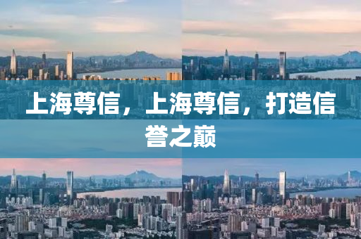 上海尊信，上海尊信，打造信譽(yù)之巔山東水清源環(huán)?？萍加邢薰? class=