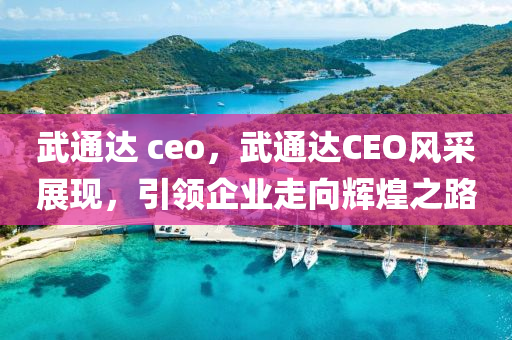 武通達 ceo，武通達CEO風采展現(xiàn)，引領企業(yè)走向輝煌之路
