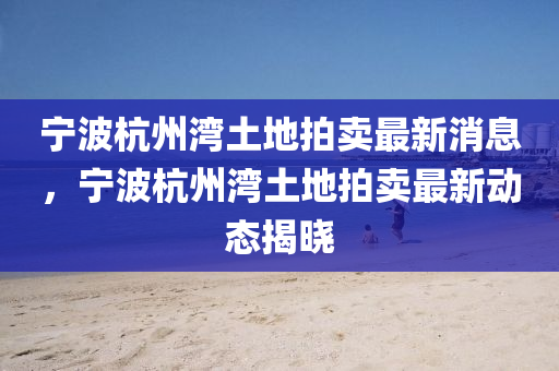 寧波杭州灣土地拍賣最新消息，寧波杭州灣土地拍賣最新動(dòng)態(tài)揭曉