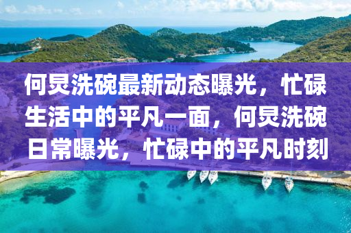 何炅洗碗最新動態(tài)曝光，忙碌生活中的平凡一面，何炅洗碗日常曝光，忙碌中的平凡時(shí)刻